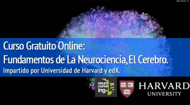 Curso Online, fundamentos de Neuromarketing por Universidad de Harvard Septiembre 2015