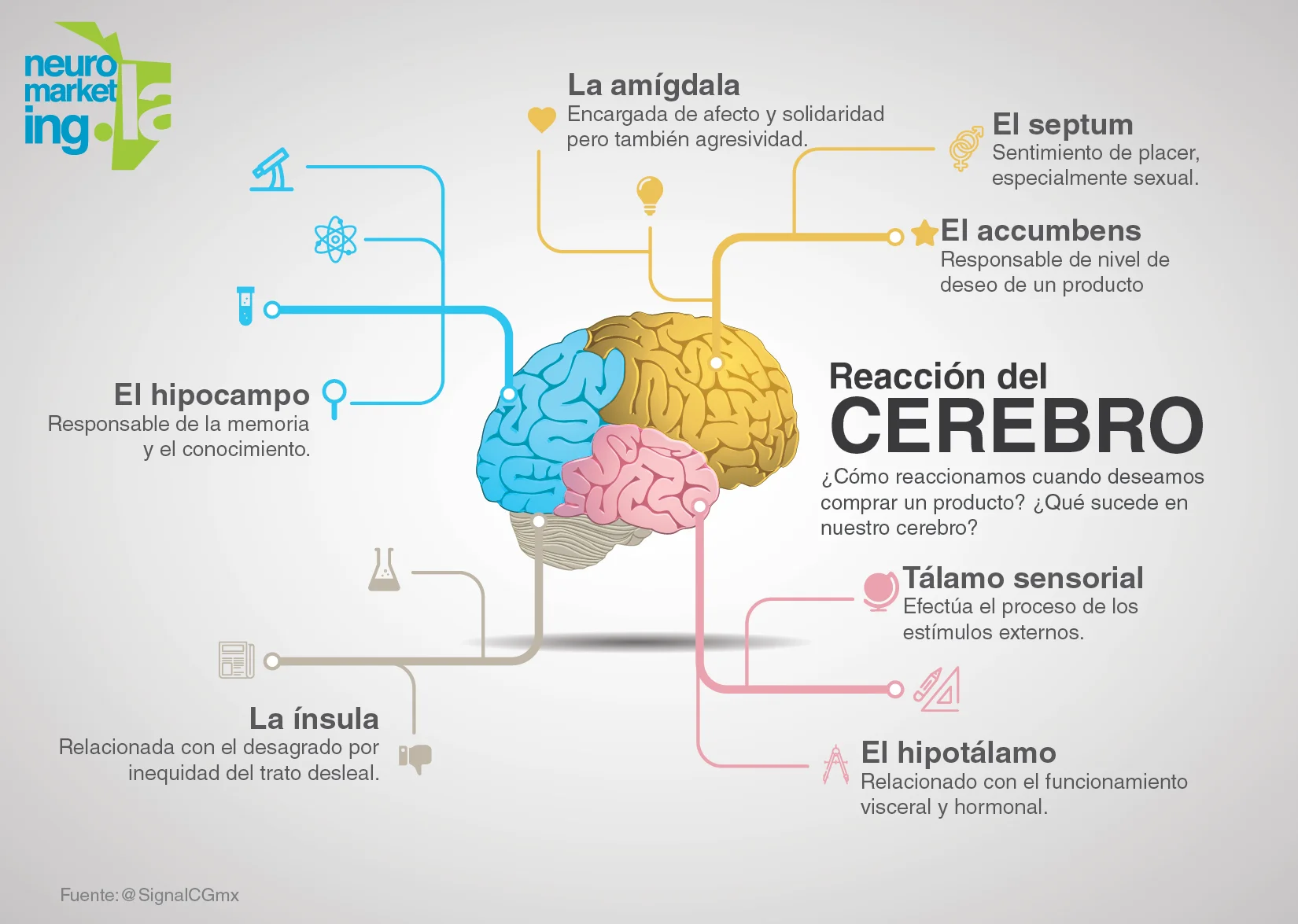 Infografía] ¿Cómo reacciona el Cerebro cuando deseamos un producto? -